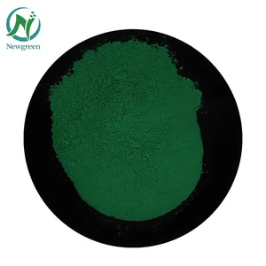 Alta Qualidade Newgreen Extract Powder Chlorophyll 99% com Melhor Preço