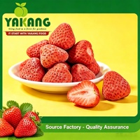 Hoogwaardige bulk gevriesdroogde aardbeien 100% natuurlijk gezond kant-en-klaar fruit snacks 1kg 18 maanden houdbaarheid groothandel