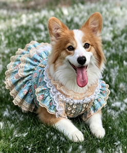 Venta al por Mayor y Dropshipping: Vestido de Encaje Hecho a Mano de Primera Calidad, Estilo Mansión Francesa para Gatos - Product Image 3