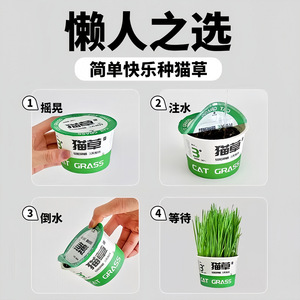 Plante en pot miniature d'herbe pour chat, culture sans terre style nouilles instantanées, pour soulager les boules de poils chez les animaux, réutilisable - Product Image 4