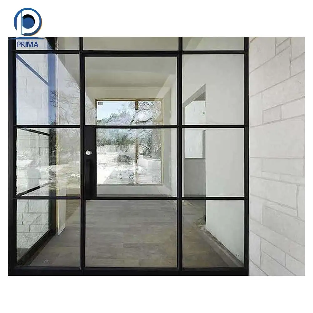 Nuevo tipo elegante nuevo tipo Prima diseño personalizado Panel de vidrio de hierro forjado puerta estrecha para proyectos de construcción edificios