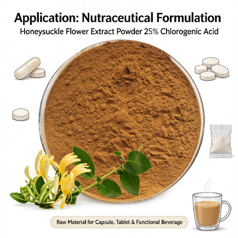 Premium Honeysuckle Flower Extract 25% Chlorogenic Acid HPLC ...