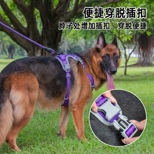 <b>Dog</b> <b>Harness</b> With Leash For Small Medium <b>Large</b> <b>Dogs</b> Chest Strap Adjustable Size Purple Orange Green Blue Red - Product Image 4