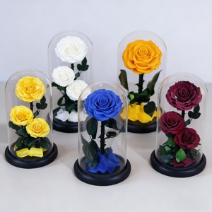 Rose éternelle sous cloche en verre, plusieurs tailles, cadeau pour la Saint-Valentin, Noë<span class=keywords><strong>l</strong></span>, décoration d'intérieur, ornement, directement <span class=keywords><strong>de</strong></span> <span class=keywords><strong>l</strong></span>'usine - Product Image 2