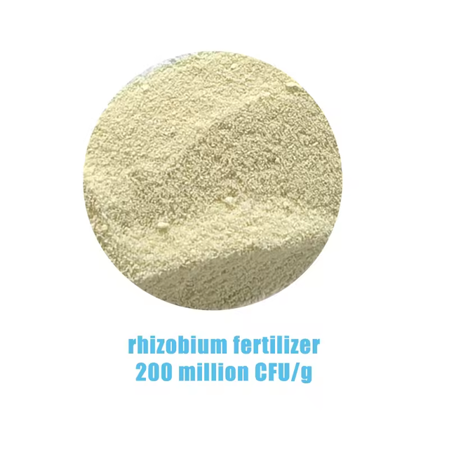 High Quality Fungi Product Biological Fertilizer Rhizobium Produce Plant Hormones Enhance Soil Fertility 10 Billion CFU/g