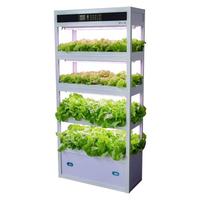 Nouveauté 2025 : Petit jardin intelligent d'intérieur, système hydroponique intelligent d'agriculture verticale pour la culture de la laitue à domicile