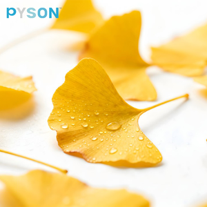 Ekstrak Daun <span class=keywords><strong>Ginkgo</strong></span> <span class=keywords><strong>Biloba</strong></span> Murni Alami dalam Bentuk Bubuk, Suplemen Pendukung Kesehatan Kognitif & Manfaat Antioksidan, Kualitas Makanan - Product Image 3