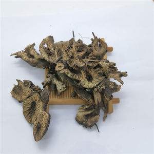 Sheng Ma 100% Natuurlijke Organische Chinese Kruid Gedroogde Zilverkaars Wortels Cimicifuga Foetida - Product Image 2