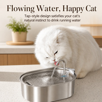 Fontaine à eau pour animaux de compagnie Pawsun sans BPA en acier inoxydable 304, 3,2 L, ultra-silencieuse, automatique, surélevée, durable, distributeur d'eau pour chats