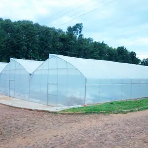 High Quality Agriculture Hydroponic Plastic Tunnel Iron Grow Tent Garden Greenhouse Price Single Span Greenhouse