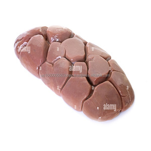 Reins de boeuf Vente en gros Reins de boeuf à prix réduit - Product Image 4