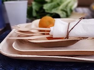 Ensemble de couverts jetables et compostables comprenant des assiettes, des gobelets, un couteau, une fourchette, une cuillère pour pique-niques, fêtes, contenants alimentaires, <span class=keywords><strong>vaisselle</strong></span> <span class=keywords><strong>jetable</strong></span> - Product Image 4