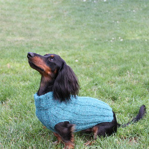 Qiqu – fournitures pour animaux de compagnie, nouveau design personnalisé, pull pour chien Dachshund, vêtements pour animaux de compagnie, petits tricots, doxie wiener - Product Image 5