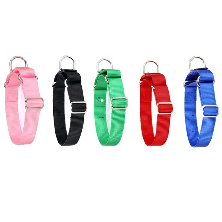 Classic solid color safety training martingale collar for dogs