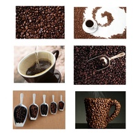 Itop — rôtissoire automatique Commercial, petite machine, rôtissoire pour café, haricots