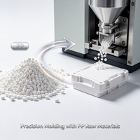 Granulés de polypropylène vierge en matière première plastique PP pour le moulage par injection et les applications plastiques générales