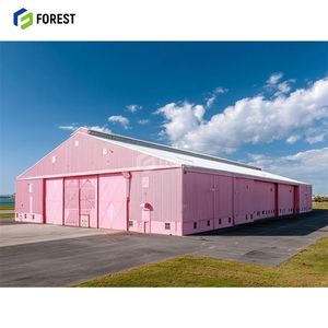 Structure en acier préfabriquée à grande portée, entrepôt de supermarché, atelier, bâtiment industriel en métal avec toit en verre - Product Image 1