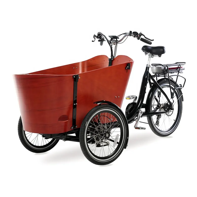 250w Électrique cargo hollandais vélo pour enfants 3 roues électrique vélo électrique tricycle bakfiets cargobike 3 roues vélo