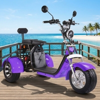 Tricycle électrique pour adultes, 3 roues, 60V 2000W/3000W, batterie lithium sans balais intégrée, Citycoco pour les trajets quotidiens