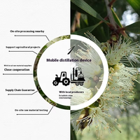 Huile Essentielle de Niaouli de Madagascar en Gros, Grande Capacité 1kg, 100% Pure, Matière Première pour Soins de la Peau, Melaleuca Viridiflora, Aromathérapie