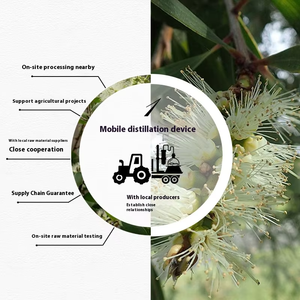 Huile Essentielle de <span class=keywords><strong>Niaouli</strong></span> de Madagascar en Gros, Grande Capacité 1kg, 100% Pure, Matière Première pour Soins de la Peau, Melaleuca Viridiflora, Aromathérapie - Product Image 4