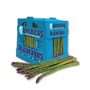 Nhà máy tùy chỉnh PP nhựa đóng gói corflute sóng nhựa măng tây Atisô Rau <span class=keywords><strong>Polypropylene</strong></span> lưu trữ bao bì hộp - Product Image 6