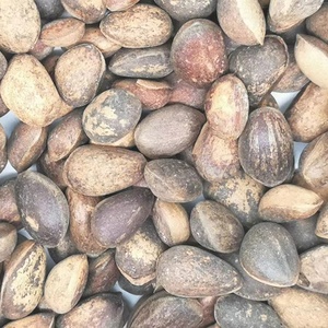 ถั่วไพน์1กก. พร้อมบรรจุภัณฑ์ถั่วไพน์เปลือกสนผลิตจากจีน - Product Image 3