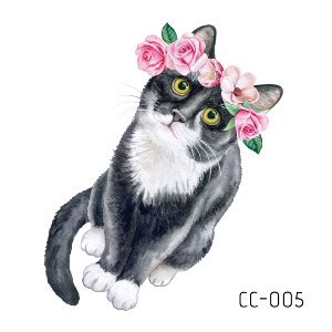 CC005