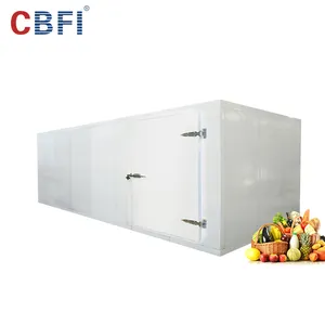 low temperature New chicken cold storage with sliding door cold