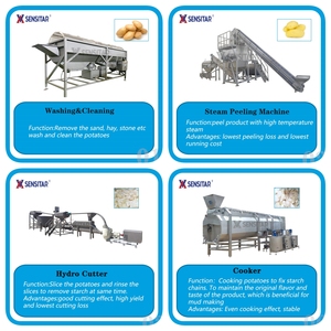 Ligne de production automatique de poudre et de flocons de pommes de terre 1800 kg/h certifiée ASME par Sensitar - Product Image 4