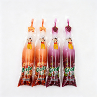 Sachet Popsicle en Plastique Imprimé Personnalisé à Soudures Latérales pour Crème Glacée