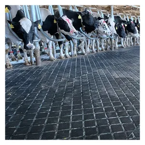 Tapis de sol en caoutchouc roulé épais antidérapant pour vache/cheval/bétail/bétail