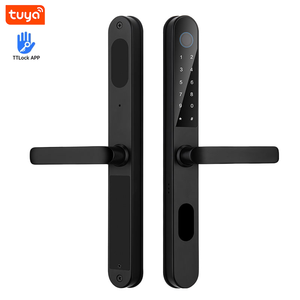 Connectivité WiFi 304 corps en acier inoxydable <span class=keywords><strong>extérieur</strong></span> étanche <span class=keywords><strong>serrure</strong></span> intelligente prend en charge carte IC empreinte digitale déverrouillage pour nuage en bois - Product Image 1
