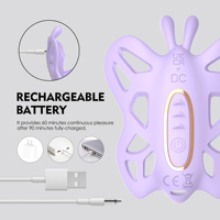 WINYI WY0760 Tragbarer Slip-Vibrator für Frauen Kabellose Fernbedienung G-Punkt-Stimulator Wasserdichtes Sexspielzeug