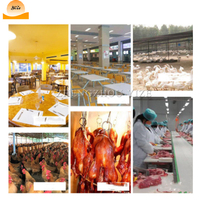 Machine à épiler les plumes d'oie, de volaille, de dinde, de poulet