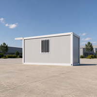 Garage préfabriqué en acier de 20 pieds avec porte à enroulement, assemblage rapide, structure en kit pour stationnement de voitures et stockage extérieur