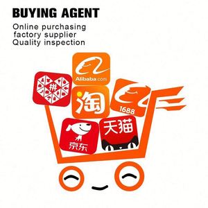 Equipo de Compras Profesional USA 1688, Servicio Integral de Compras desde Marruecos y China - Product Image 3