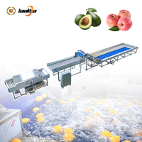 Aanpasbare capaciteit appelborstelreinigingsmachine avocado fruit- en groentewasser fruitwasmachine verwerkingslijn