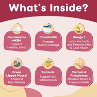 Complément articulaire pour chiens OEM ODM - Soulagement des douleurs articulaires - Glucosamine, chondroïtine, curcuma - Friandises à mâcher molles
