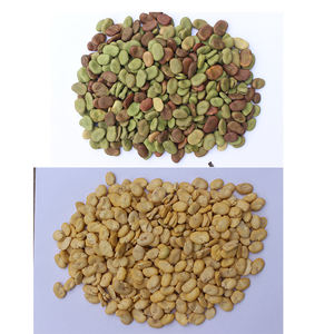 Machine à éplucher les fèves <span class=keywords><strong>Vicia</strong></span> <span class=keywords><strong>Faba</strong></span> Fava Bean Habas/machine à enlever la peau des fèves pour le Pérou - Product Image 6