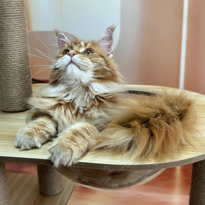 شجرة قطط متعددة مع 4 شقق و 6 منصات أعمدة لخدش السيزال مواد غير سامة ودليل تجميع سهل - Product Image 6