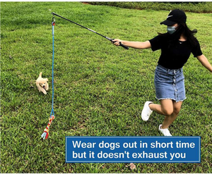 Wholesale Modern Interactive Dog Cat Training Toys Eco-Friendly Squeaky Flirt Pole Toy Teaser Wand Linen Rope Refills - Product Image 4