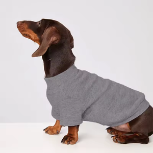 Sweat-shirt pour animaux de compagnie de couleur unie et chaude |   Couche de base thermique confortable pour l'hiver |   Vêtements populaires pour chiens et chats, pour Bichon Frise et <span class=keywords><strong>Teckel</strong></span> - Product Image 1