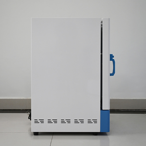 Four de séchage sous vide numérique Cedric China, nouvelle génération, avec revêtement intérieur en acier inoxydable 201, à commande automatique, pour laboratoire et usage hospitalier - Product Image 2