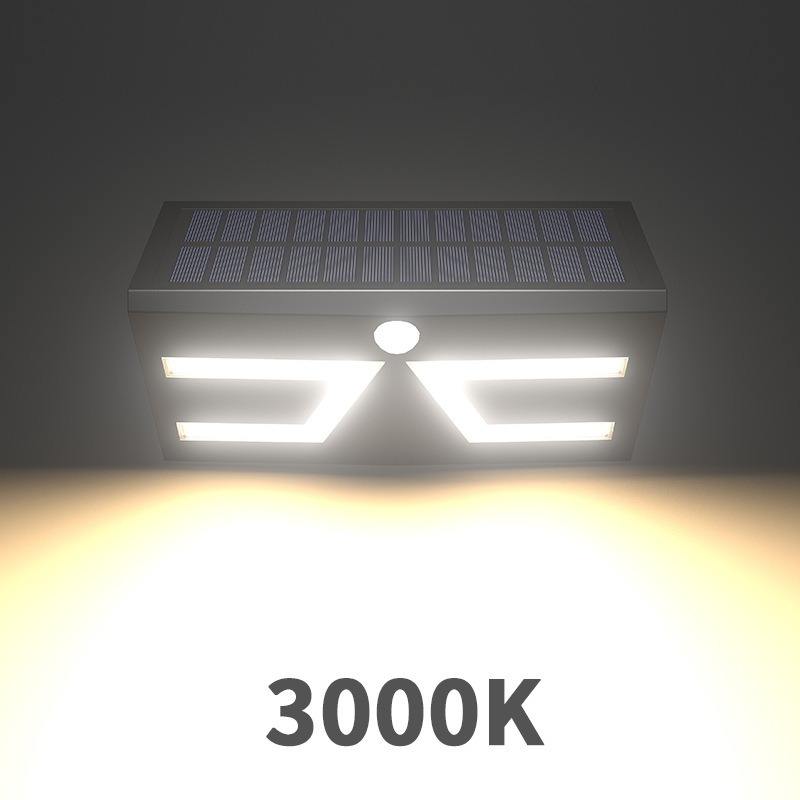 Coquille noire lumière blanche chaude