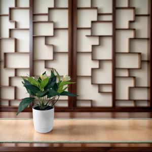 Hojas <span class=keywords><strong>de</strong></span> orquídeas <span class=keywords><strong>de</strong></span> tacto real, bonsái <span class=keywords><strong>de</strong></span> plástico Artificial, planta en maceta, decoración ecológica para el hogar con maceta - Product Image 5