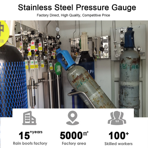 S316 शुष्क दबाव गेज 63 मिमी 0-60mbar 1/<span class=keywords><strong>4</strong></span> "bspt m रेडियल कनेक्शन-उच्च परिशुद्धता औद्योगिक गेज - Product Image 5