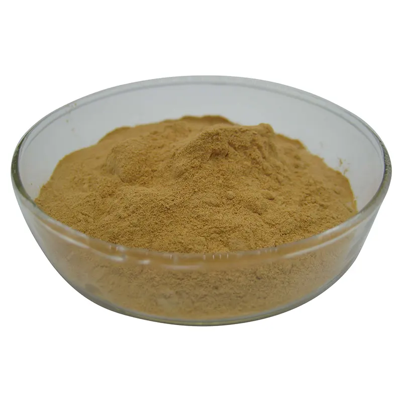Extrait de poudre de maca du Pérou 10:1 50:1 100:1 poudre d'extrait de racine de maca