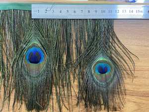 Premium Natural influenza feather occhi di pavone piuma frangia Trim piuma di fagiano rifinitura per abbigliamento decorativo - Product Image 4