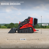 Mini-Kompaktlader T470 mit Raupenantrieb für Landschaftsbau, Gärtnerei und Hofarbeit, 240kg Nennlast, 2 Zylinder, EPA EURO5